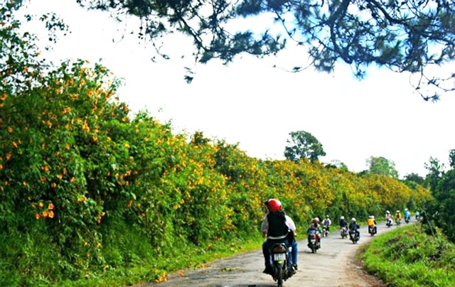 Đà Lạt