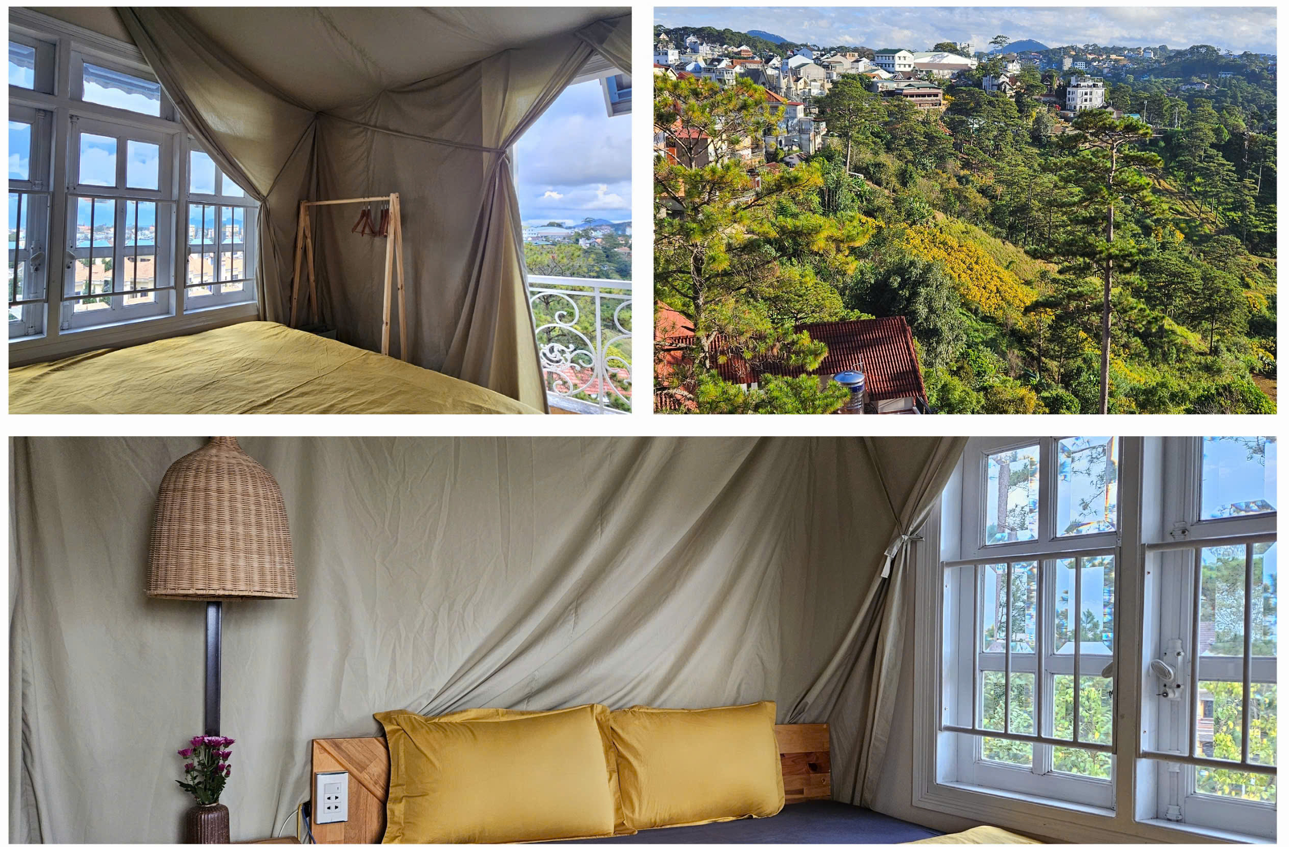 Phòng đơn - view thung lũng, rừng thông, bầu trời đêm, sương mù & mây
